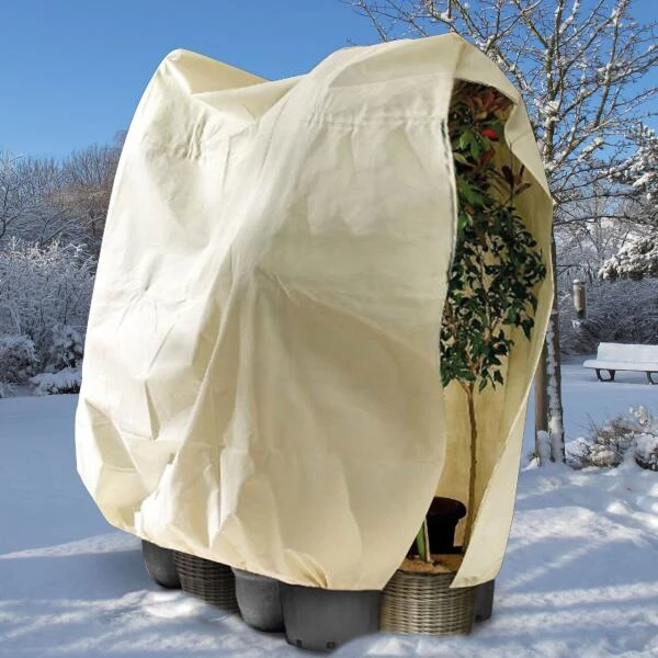 Thermobeschermhoes Q-Extreme XXL Voor Planten - 300 × 200 Cm 2 Thermobeschermhoes Q-Extreme XXL Voor Planten - 300 × 200 Cm - Afbeelding 2