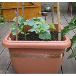 Anti-slakken Kopertape 4 M -EDIALUX Winkel antislakken kopertape 1484052941 3 600