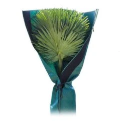 Beschermhoes Palmboom - Groen - 150 Cm