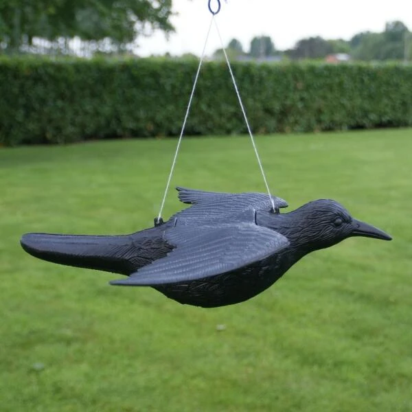 Duivenverjager Vliegende Raaf 1 Duivenverjager Vliegende Raaf