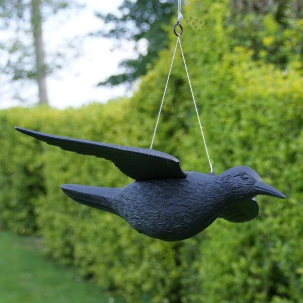 Duivenverjager Vliegende Raaf 2 Duivenverjager Vliegende Raaf - Afbeelding 2