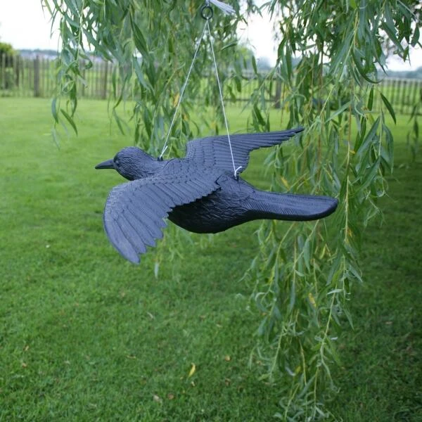 Duivenverjager Vliegende Raaf 3 Duivenverjager Vliegende Raaf - Afbeelding 3