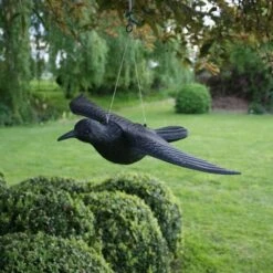 Duivenverjager Vliegende Raaf 9 Duivenverjager Vliegende Raaf -EDIALUX Winkel duivenverjager vliegende kraai 1495118460 1 600