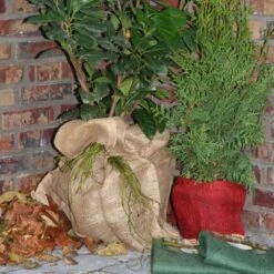 Jutezak - Naturel - 60 × 80 Cm -EDIALUX Winkel jutezak 60 x 80 naturel 1486635322 0 600