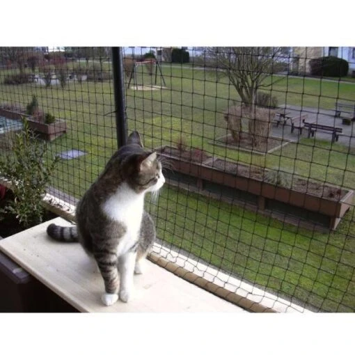 Kattennet 3 × 4 M -EDIALUX Winkel kattennet 3 m x 4 m 1484065513 1 600