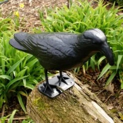 Duivenverjager Kraai Roepend -EDIALUX Winkel kraai met geluid 1523289337 3 600