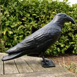 Duivenverjager Kraai Roepend -EDIALUX Winkel kraai met geluid 1523289337 4 600