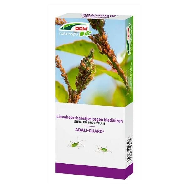 DCM Adali-Guard - Lieveheersbeestjes Tegen Bladluizen - 100 Larven 2 DCM Adali-Guard - Lieveheersbeestjes Tegen Bladluizen - 100 Larven - Afbeelding 2