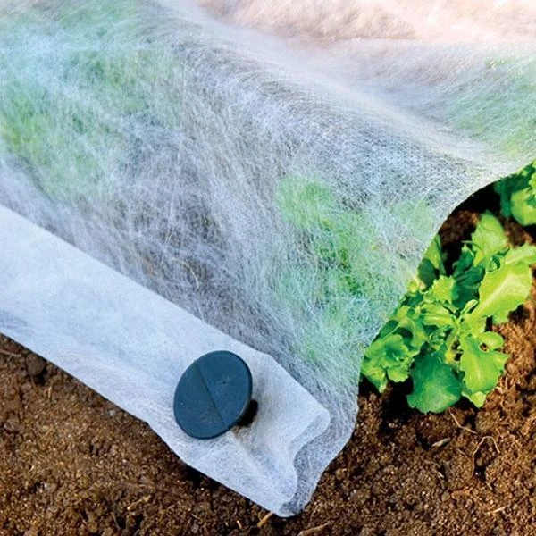 Vliesdoek Op Rol - 50 × 2 M 1 Vliesdoek Op Rol - 50 × 2 M