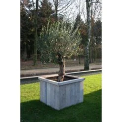 Thermobeschermhoes Jumbo Voor Planten - 240 × 200 Cm -EDIALUX Winkel thermovorsthoes 240 x 200cm 1484053216 3 600
