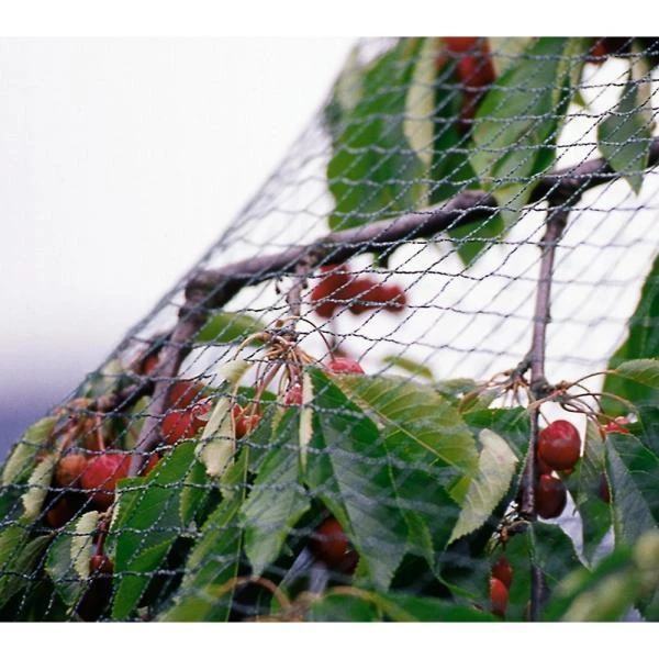 Tuinnet Grofmazig 4 M × 10 M 1 Tuinnet Grofmazig 4 M × 10 M