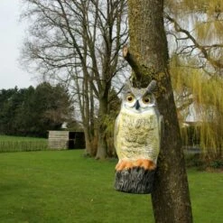 Uil Front - Vogelverschrikker -EDIALUX Winkel uil front vogelverschrikker 1523282297 1 600