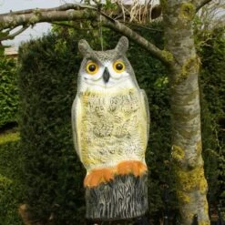 Uil Front - Vogelverschrikker -EDIALUX Winkel uil front vogelverschrikker 1523282297 2 600