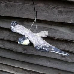 Vliegende Slechtvalk - Vogelverschrikker -EDIALUX Winkel vogelverjager slechtvalk 1487069208 0 600