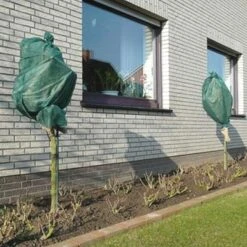 Rozen Winterhoezen - Groen - Set Van 2 Stuks -EDIALUX Winkel winterhoes rozen groen 1484054071 3 600