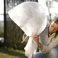 Vorsthoes Rozen - 80 × 75 Cm - Set Van 2 Stuks -EDIALUX Winkel wintervlies rozen 1486656722 0 600