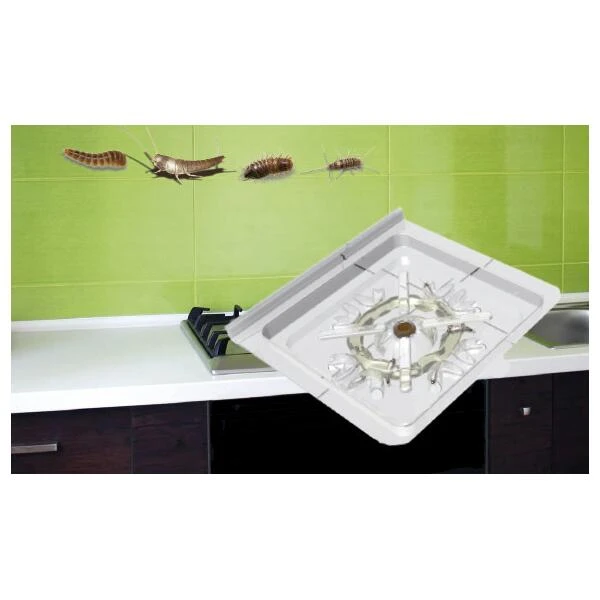 Zilvervisjes- En Papiervisjesvallen + Lokstof - Set Van 5 Stuks 2 Zilvervisjes- En Papiervisjesvallen + Lokstof - Set Van 5 Stuks - Afbeelding 2