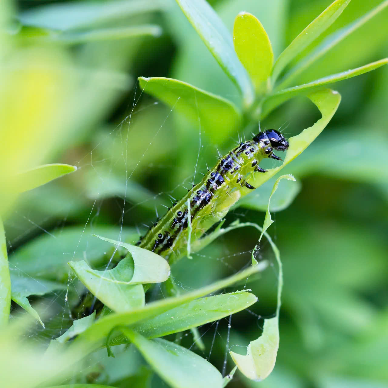 EDIALUX Winkel -EDIALUX Winkel z6369071583959 8afa4140e06b8bd5c7e5e74b9d62fb3a